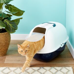 cats litter box